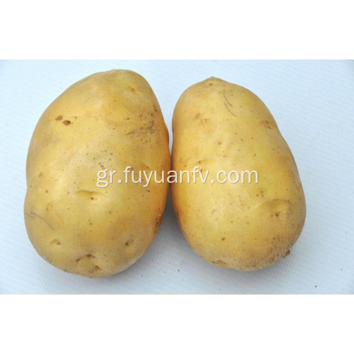 Καλύτερη τιμή της νέας καλλιέργειας πατάτας
